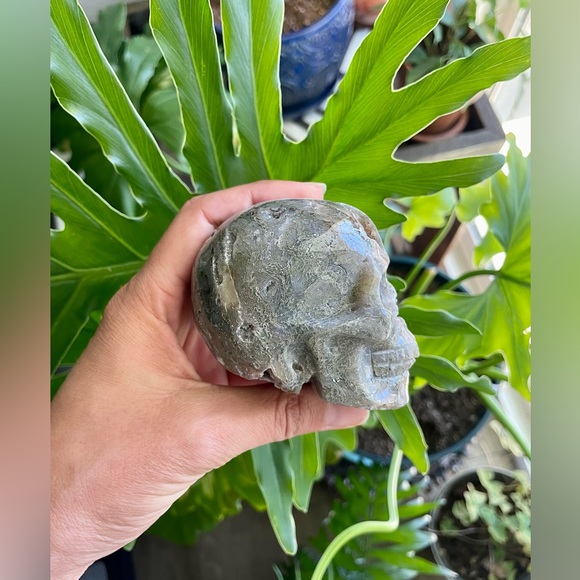 Moss Agate Skull - Picture 3 of 6